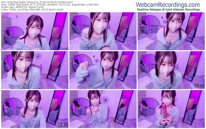 stripchat-ai_jp-08-20-2024-14-18-22