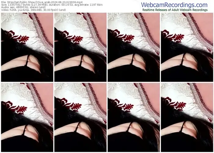 stripchat-diva_arab-08-20-2024-02-30-06