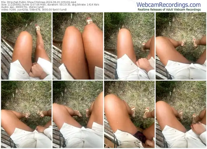 stripchat-felinae-08-20-2024-10-51-09