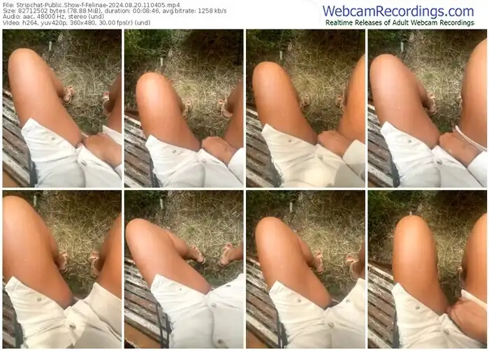 stripchat-felinae-08-20-2024-11-04-05