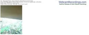 stripchat-felinae-08-20-2024-11-27-22