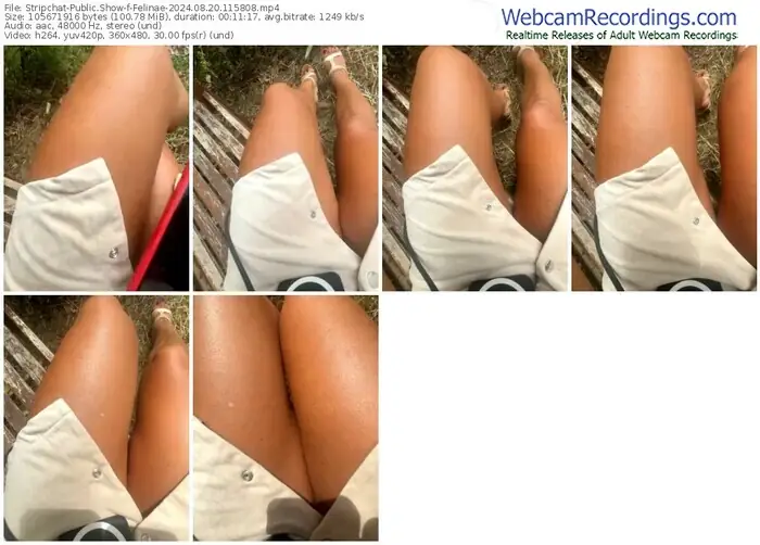 stripchat-felinae-08-20-2024-11-58-08