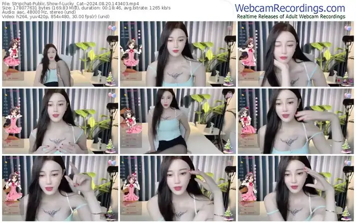 stripchat-lucky_cat--08-20-2024-14-34-03
