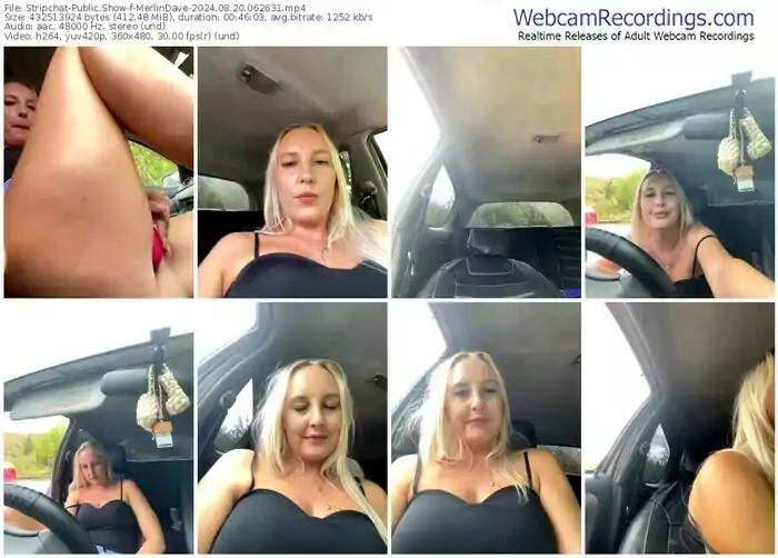 stripchat-merlindave-08-20-2024-06-26-31