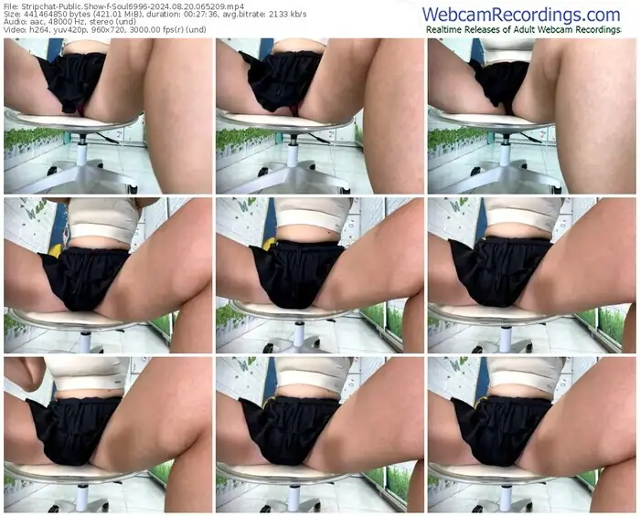 stripchat-soul6996-08-20-2024-06-52-09