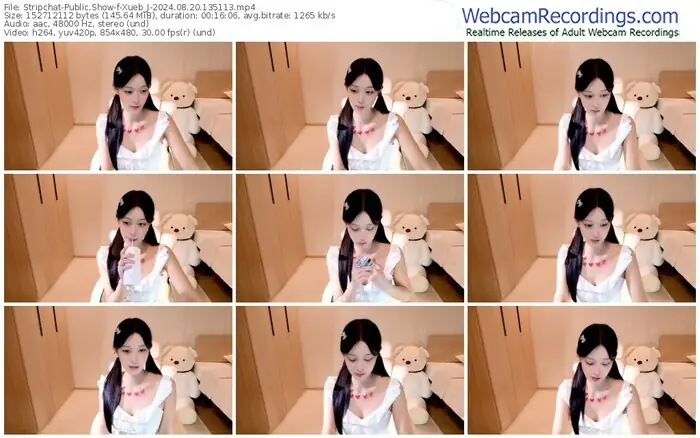 stripchat-xueb_j-08-20-2024-13-51-13