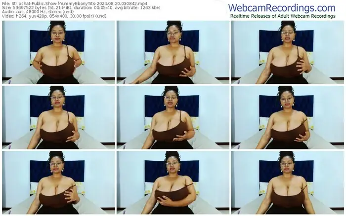 stripchat-yummyebonytits-08-20-2024-03-08-42