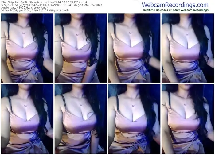 stripchat-_sunshine--08-20-2024-21-27-04