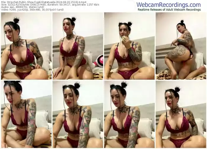 stripchat-gatinhatatuada-08-20-2024-15-16-14