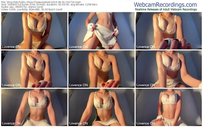 stripchat-heavenaked-08-20-2024-15-27-16