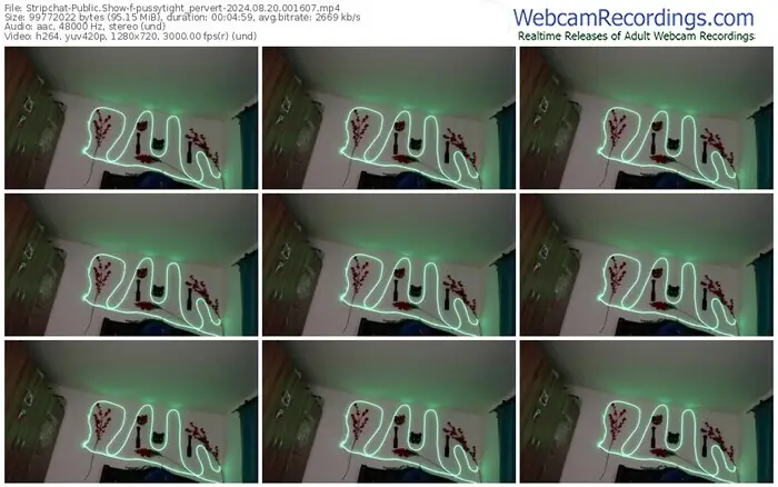 stripchat-pussytight_pervert-08-20-2024-00-16-07