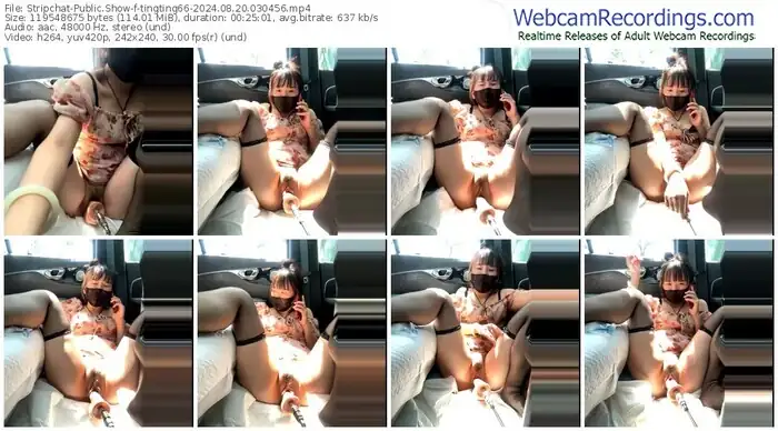 stripchat-tingting66-08-20-2024-03-04-56