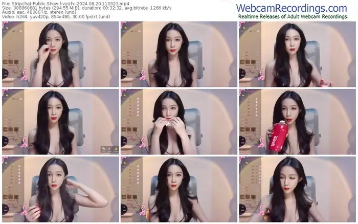 stripchat-vyizh--08-20-2024-11-03-23