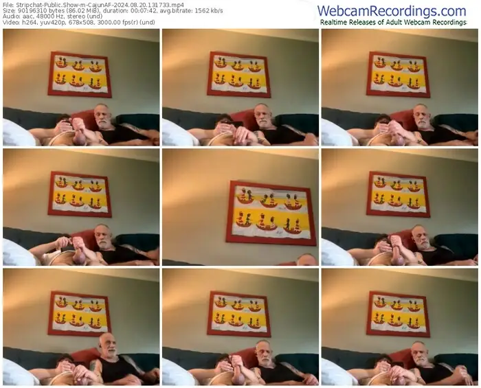 stripchat-cajunaf-08-20-2024-13-17-33