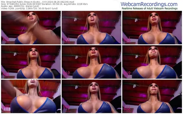 stripchat-exotic__xxx-08-20-2024-08-22-40