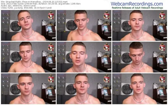 stripchat-marvelboy_-08-20-2024-11-53-22