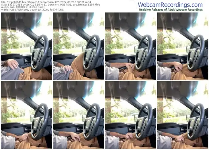 stripchat-themechanic420-08-20-2024-13-00-21