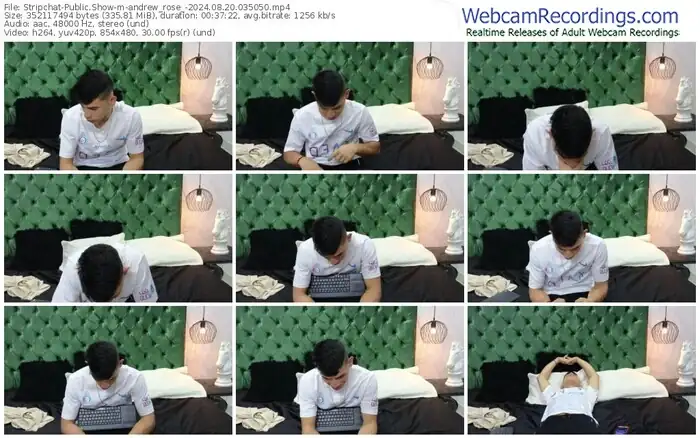 stripchat-andrew_rose_-08-20-2024-03-50-50