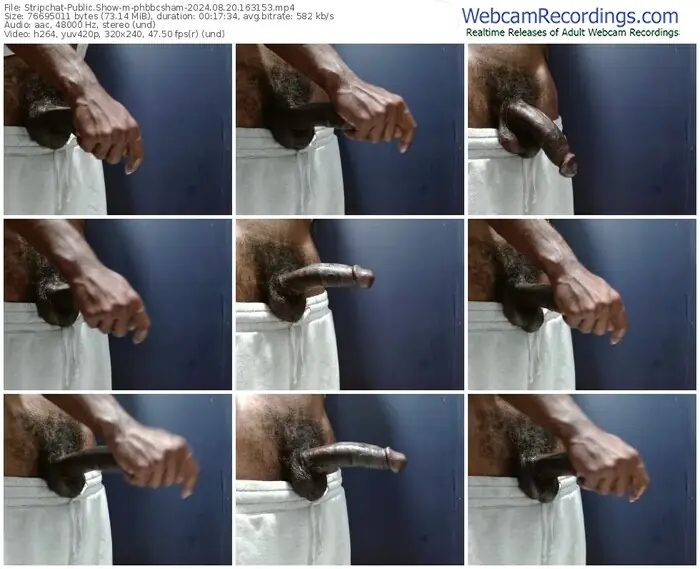 stripchat-phbbcsham-08-20-2024-16-31-53
