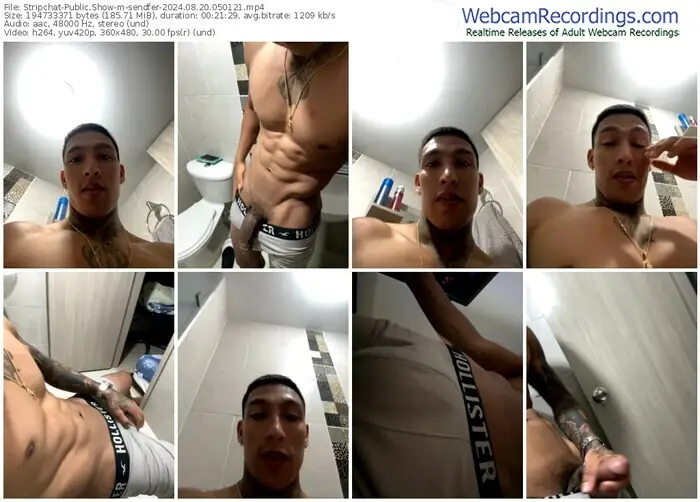 stripchat-sendfer-08-20-2024-05-01-21