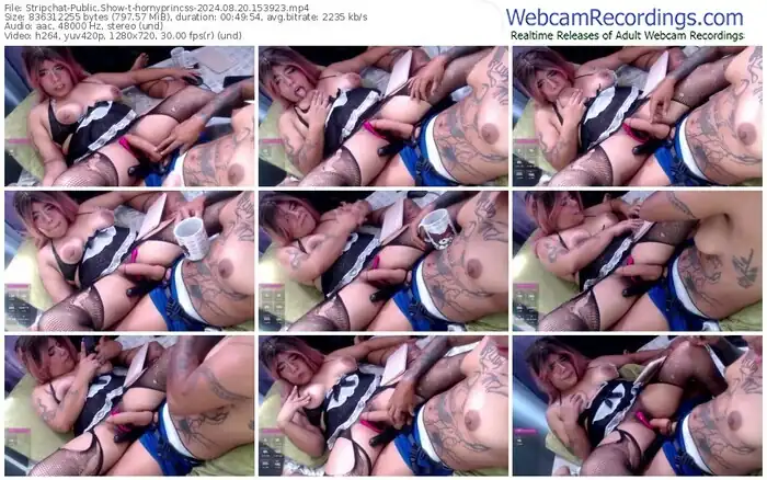 stripchat-hornyprincss-08-20-2024-15-39-23