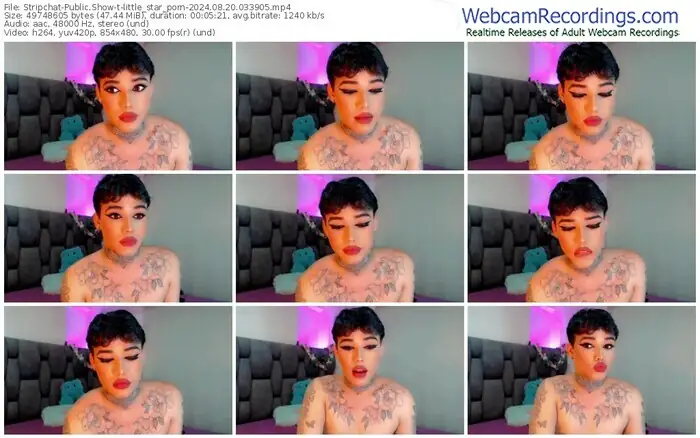 stripchat-little_star_porn-08-20-2024-03-39-05