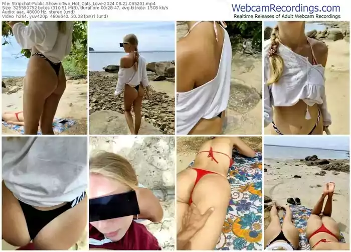 stripchat-two_hot_cats_love-08-21-2024-06-52-01