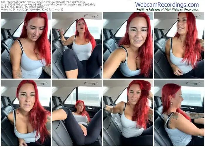 stripchat-black-flamingo-08-21-2024-12-04-21