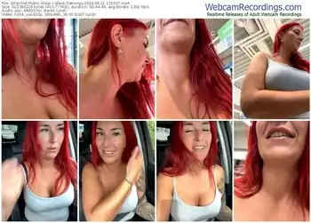 stripchat-black-flamingo-08-21-2024-12-16-07