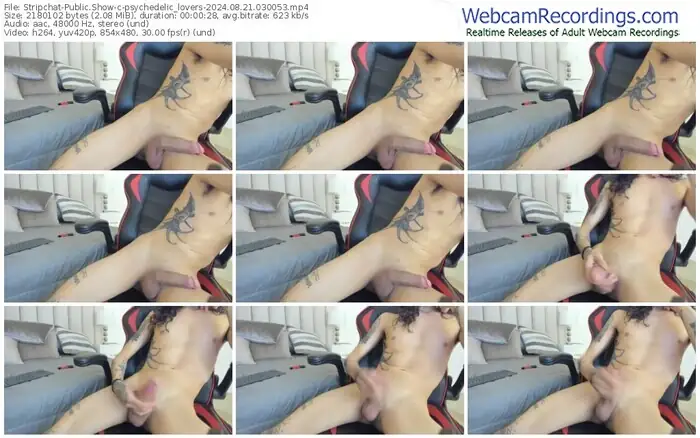 stripchat-psychedelic_lovers-08-21-2024-03-00-53