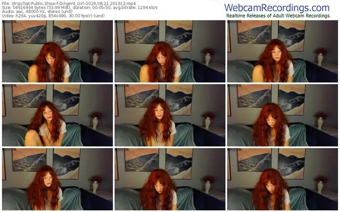 stripchat-diligent_girl-08-21-2024-20-13-12