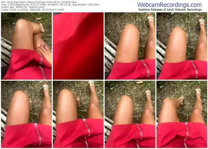 stripchat-felinae-08-21-2024-10-09-26