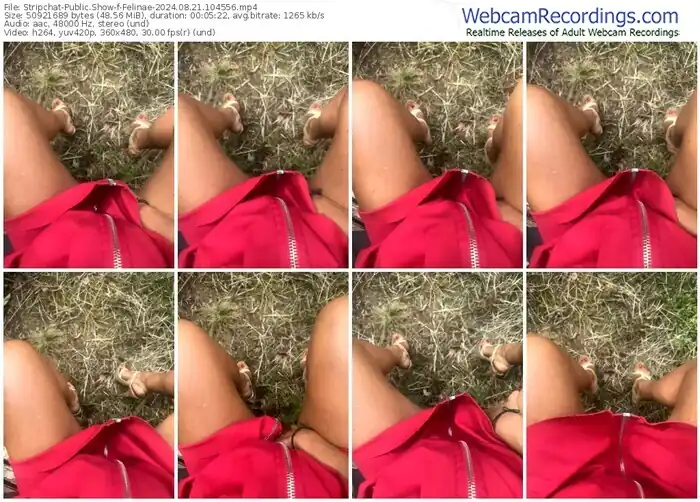 stripchat-felinae-08-21-2024-10-45-56