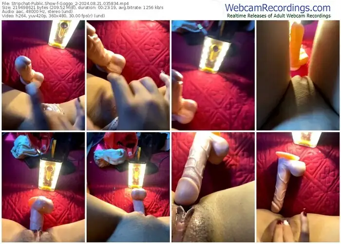 stripchat-goggo_2-08-21-2024-03-58-34