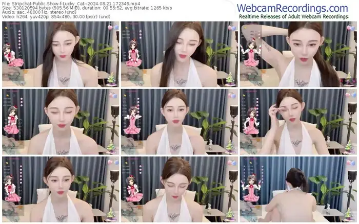 stripchat-lucky_cat--08-21-2024-17-23-49