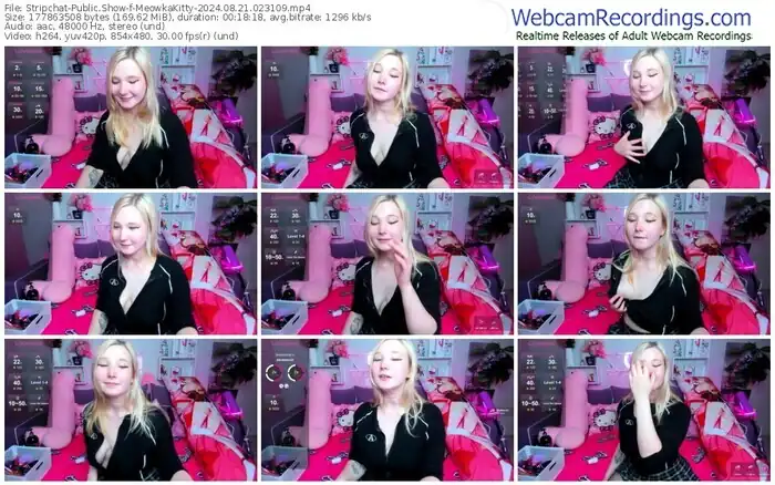 stripchat-meowkakitty-08-21-2024-02-31-09