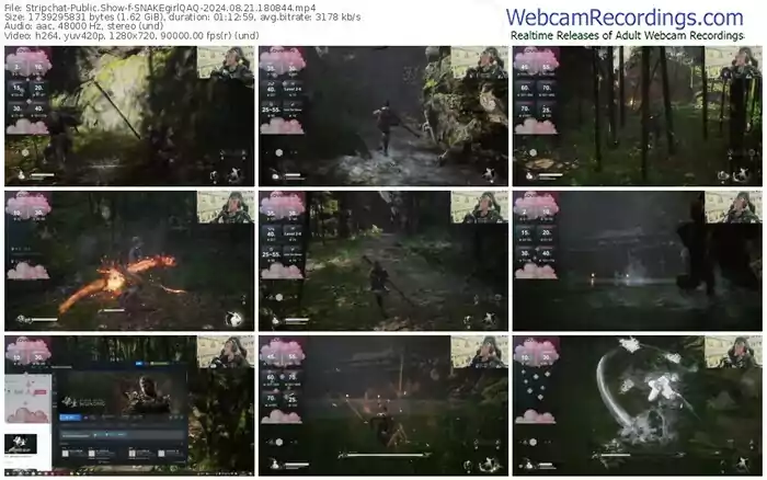 stripchat-snakegirlqaq-08-21-2024-18-08-44