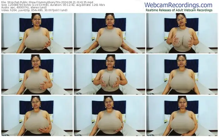 stripchat-yummyebonytits-08-21-2024-01-41-35