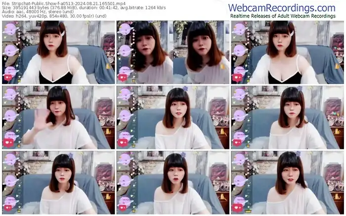 stripchat-a0513-08-21-2024-16-55-01