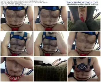 stripchat-alpha_theking-08-21-2024-11-40-05