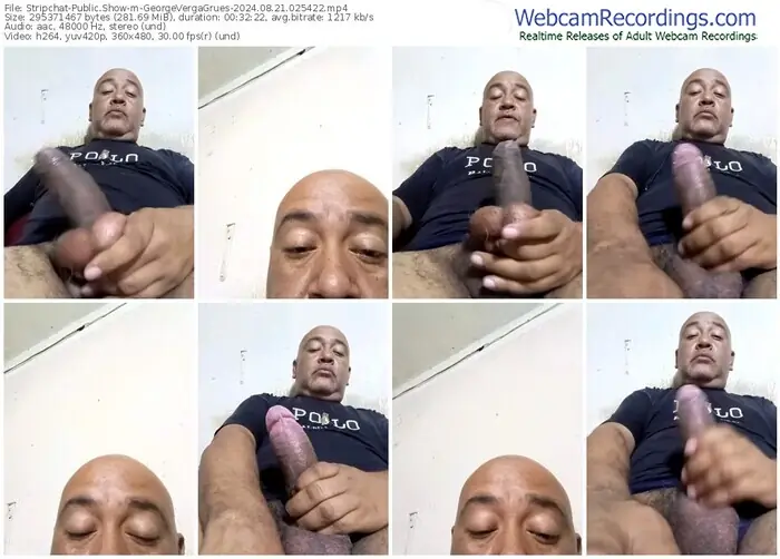 stripchat-georgevergagrues-08-21-2024-02-54-22