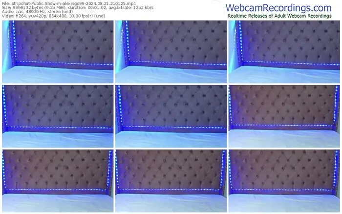 stripchat-alexisgo99-08-21-2024-21-01-25
