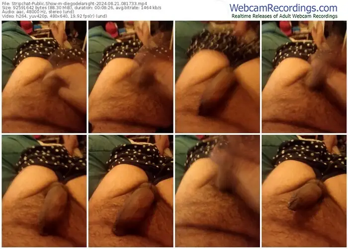 stripchat-diegodelanight-08-21-2024-08-17-33