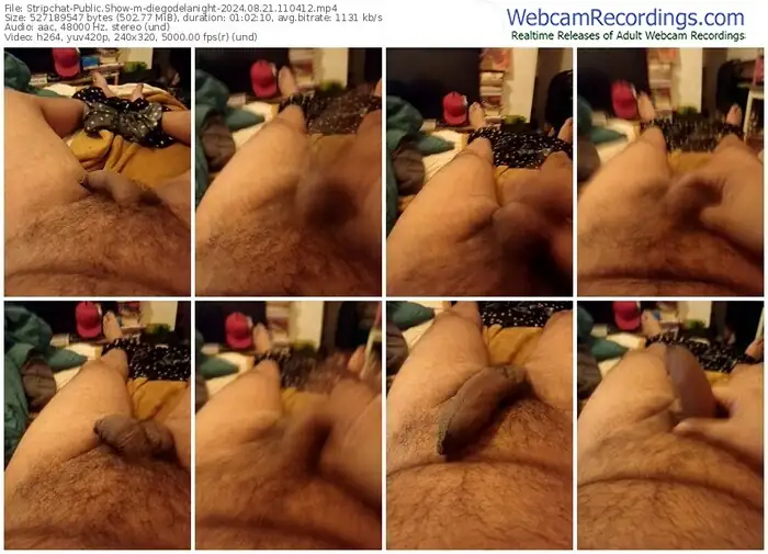 stripchat-diegodelanight-08-21-2024-11-04-12