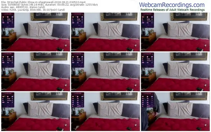 stripchat-shagmewell-08-21-2024-03-05-10