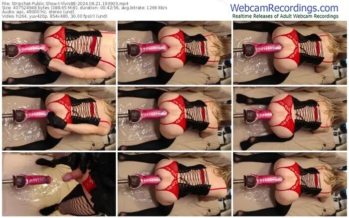 stripchat-ylvis88-08-21-2024-19-39-03