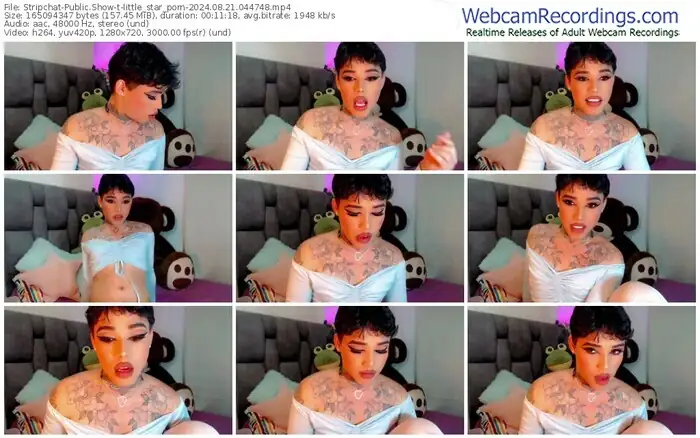 stripchat-little_star_porn-08-21-2024-04-47-48