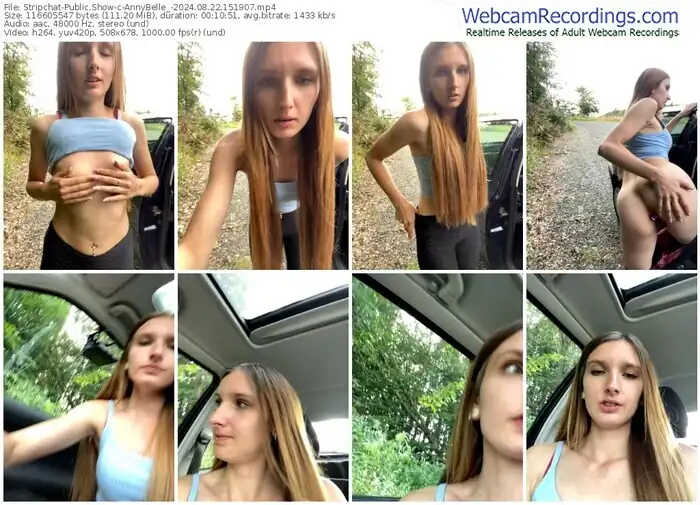 stripchat-annybelle_-08-22-2024-15-19-07