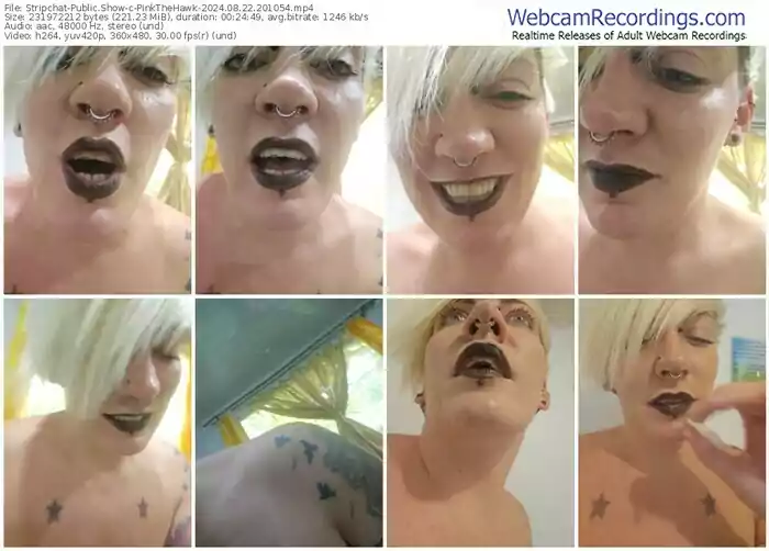 stripchat-pinkthehawk-08-22-2024-20-10-54