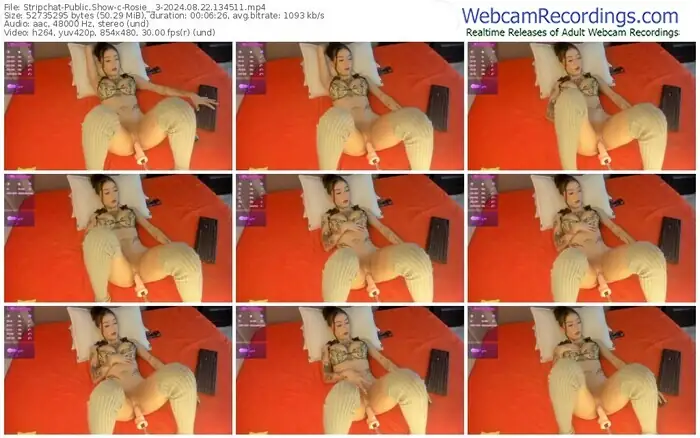 stripchat-rosie__3-08-22-2024-13-45-11